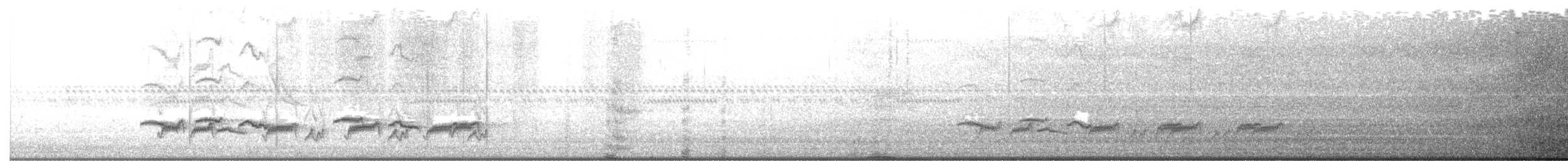 Streamer-tailed Tyrant - ML641996143