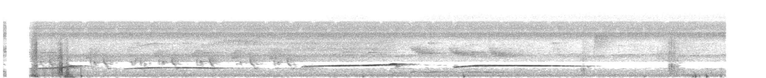 Barred Puffbird - ML641997051