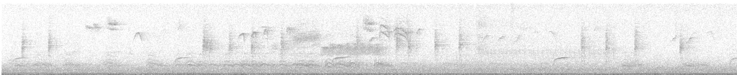 Swainson's Thrush - ML641997135