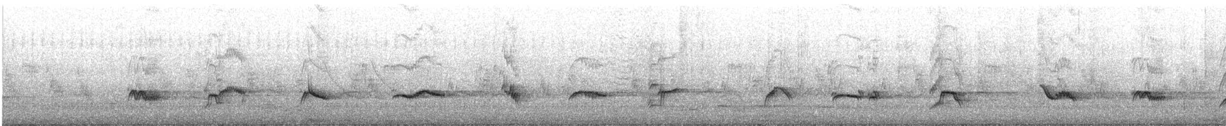Austral Thrush - ML641997638