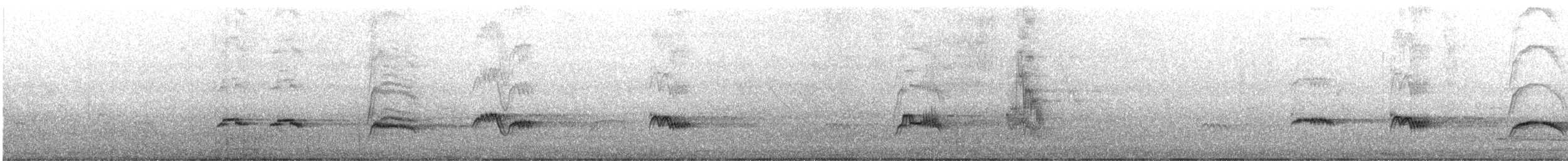Austral Thrush - ML641997639