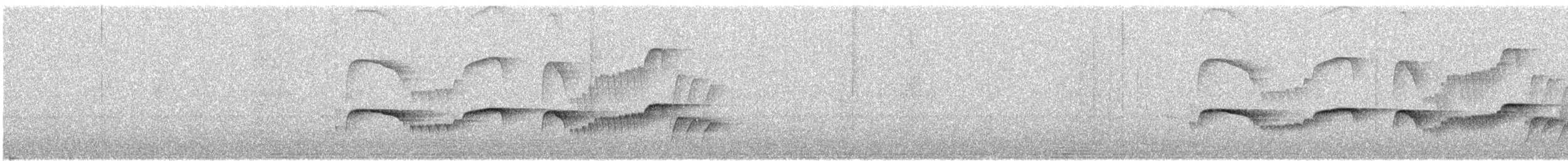 Southern Antpipit - ML641998548