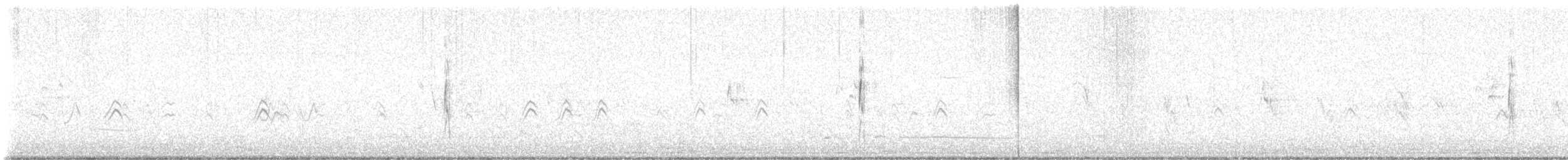 Ladder-backed Woodpecker - ML641998849