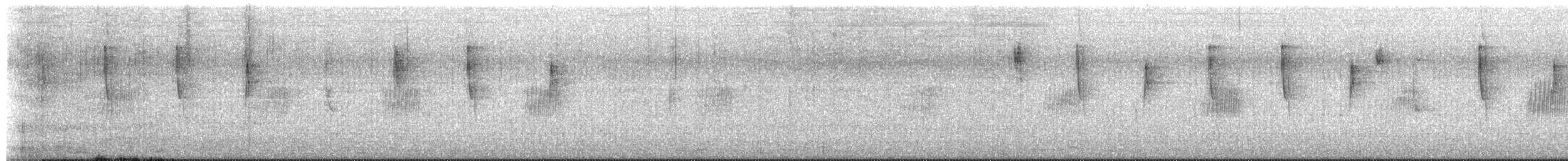 White-vented Violetear - ML641999955