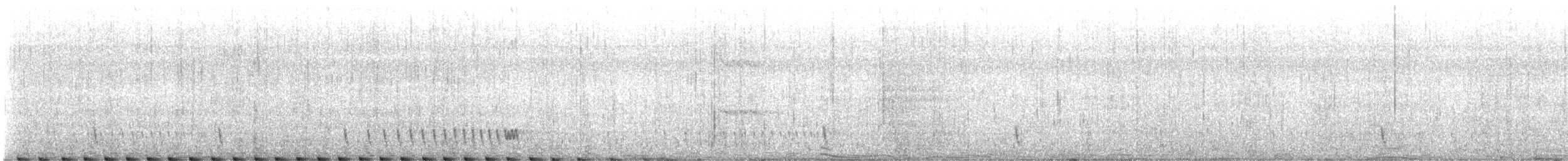 Chotacabras Hindú - ML642001387
