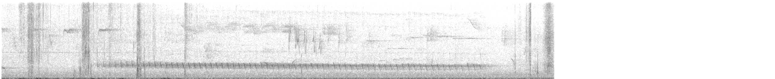 Lewin's Honeyeater - ML642001591