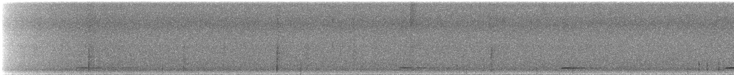 Northern Pygmy-Owl - ML642001604
