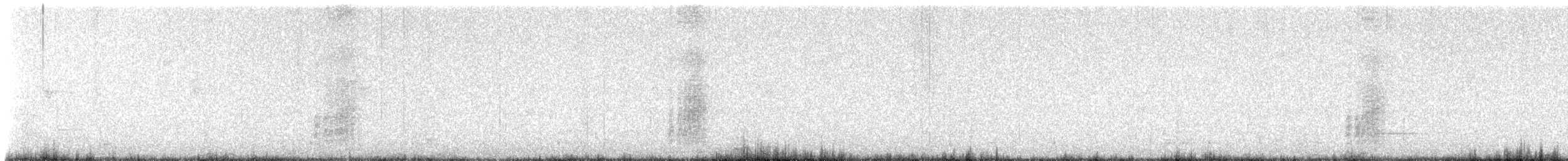 Acorn Woodpecker - ML642001988