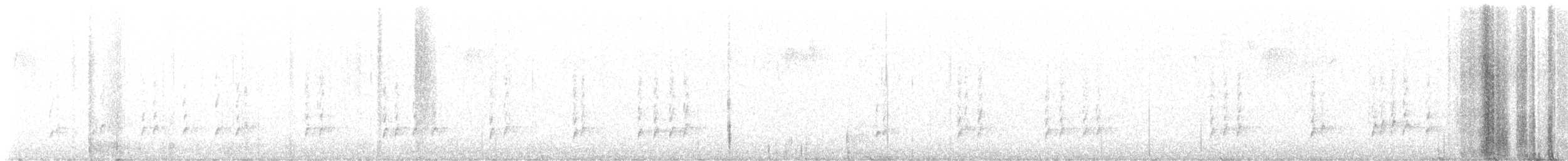 Carolina Wren - ML642003248
