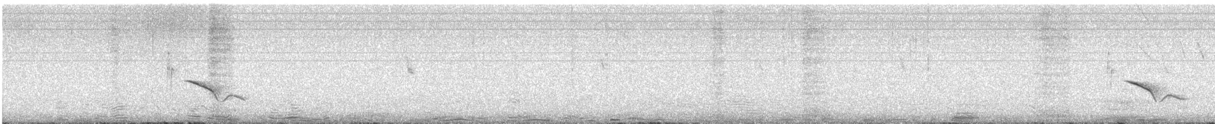 Cape Wagtail - ML642004356