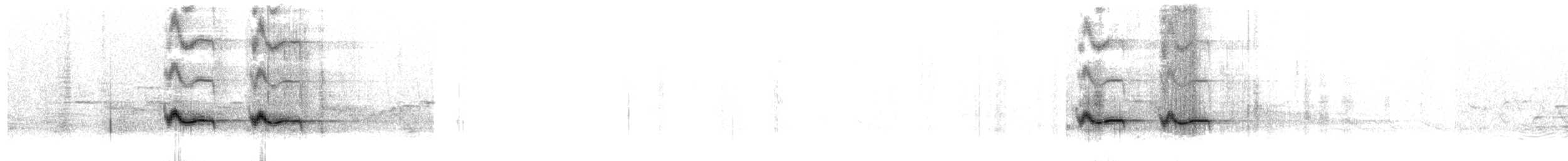 snøkinnlattertrost - ML642005113