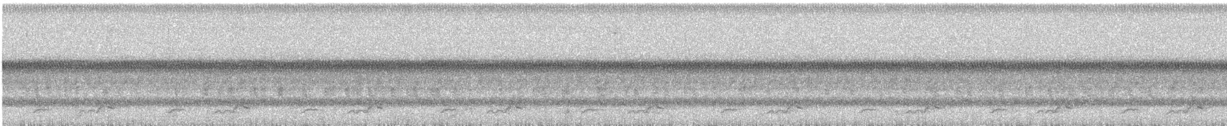 eikenattravn - ML642009421