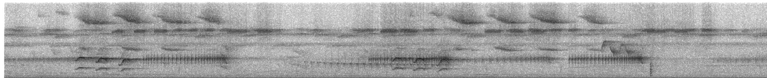 Pectoral Sparrow - ML642011840