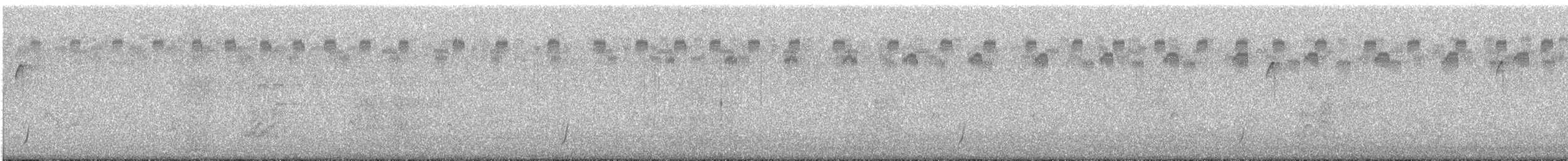 Swainson's Thrush - ML642012554