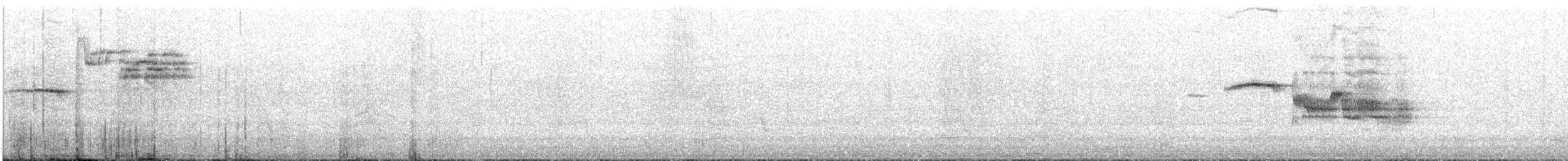 Black-billed Nightingale-Thrush - ML642012556