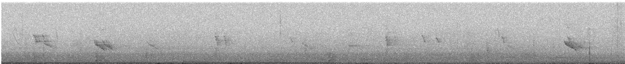 Black Phoebe - ML642014395