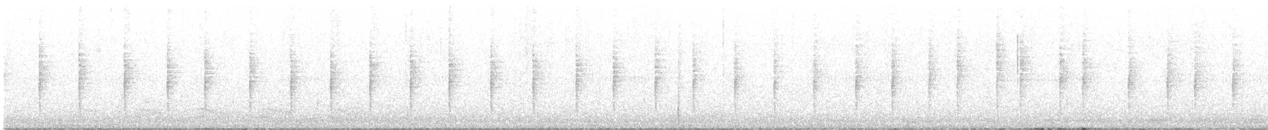 Zozo arrunta - ML642014852