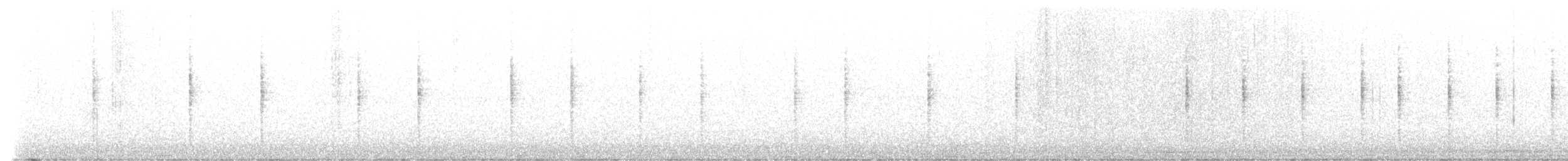 Zozo arrunta - ML642014853