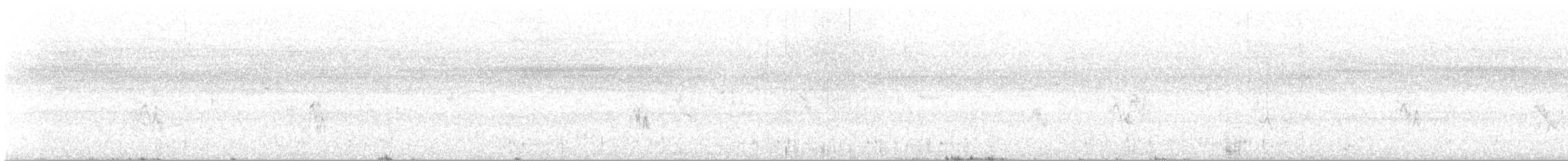 House Sparrow - ML642021448