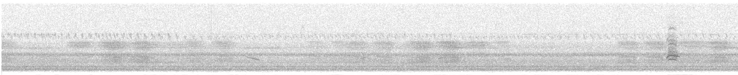 コヨシゴイ - ML642023682