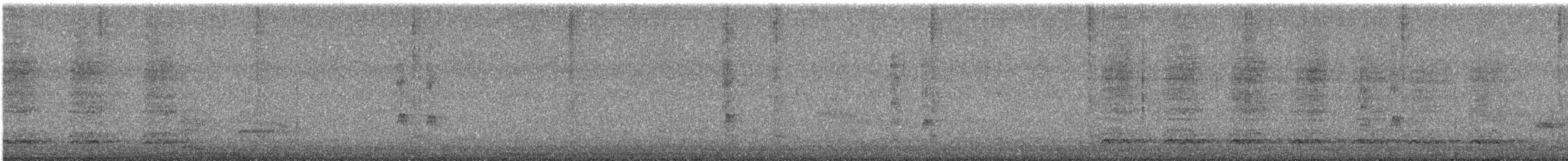 střízlík kanadský - ML642024627