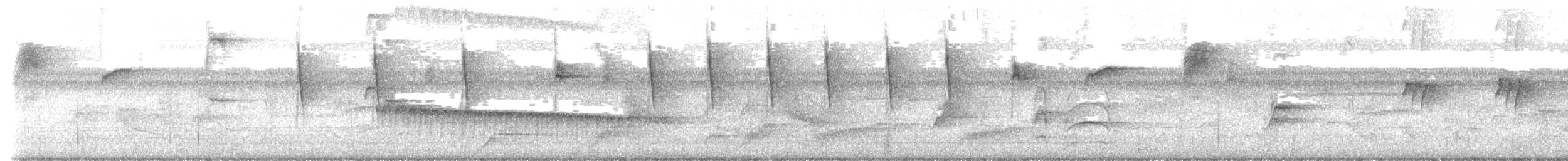 Cuvier Kolibrisi - ML642025132