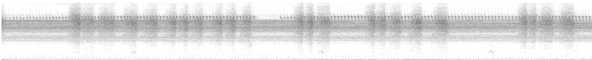 Northern House Wren - ML642025530