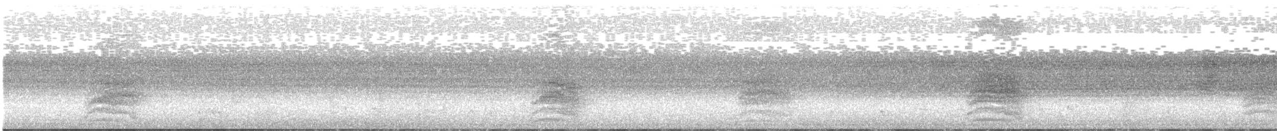 Braunrücken-Ameisenvogel - ML642027931