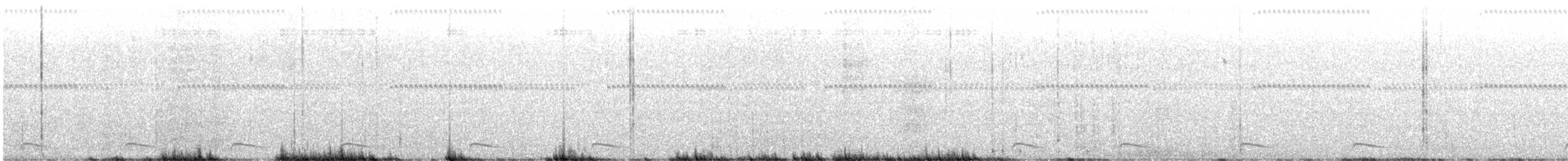 Длиннохвостая земляная горлица - ML642028867