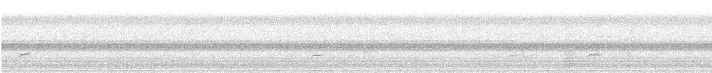 Swainson's Thrush - ML642028996