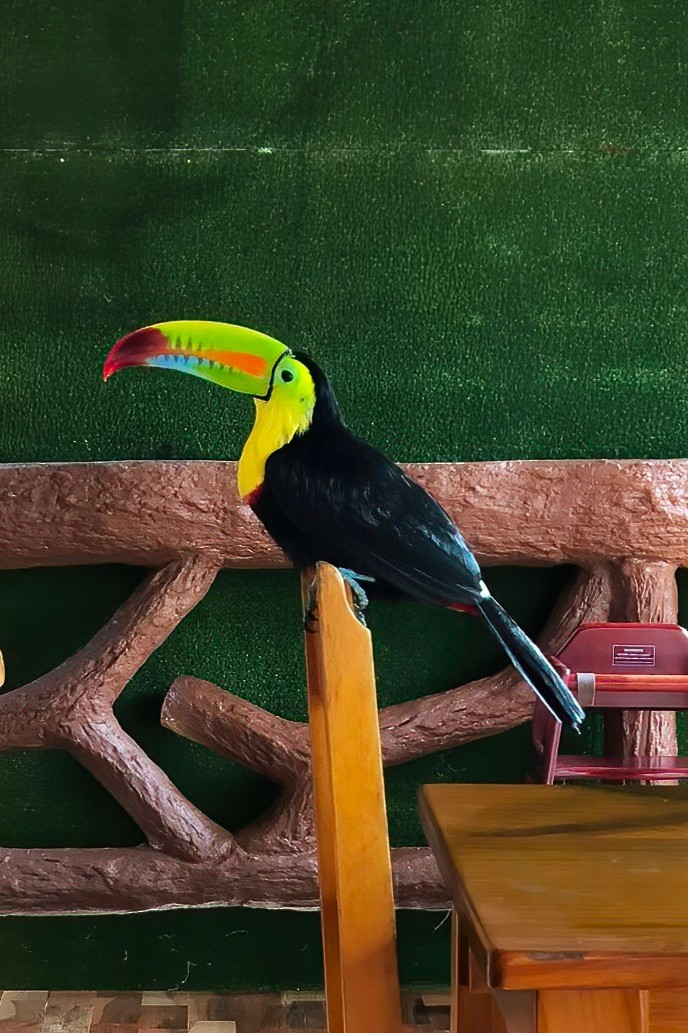 Keel-billed Toucan - ML642029866