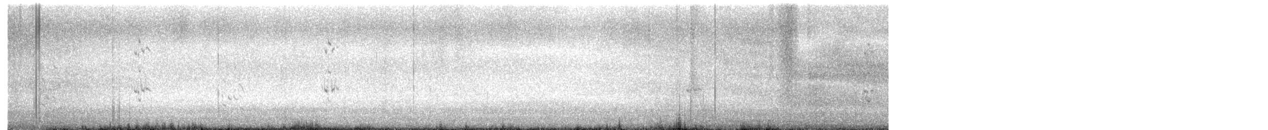 Royal Tern - ML642029894