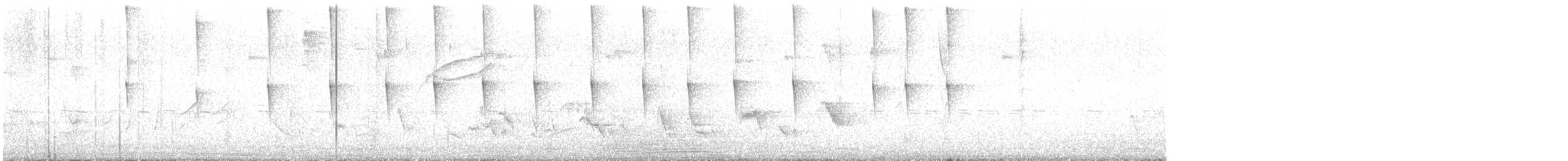 maracaibotodityrann - ML642030699