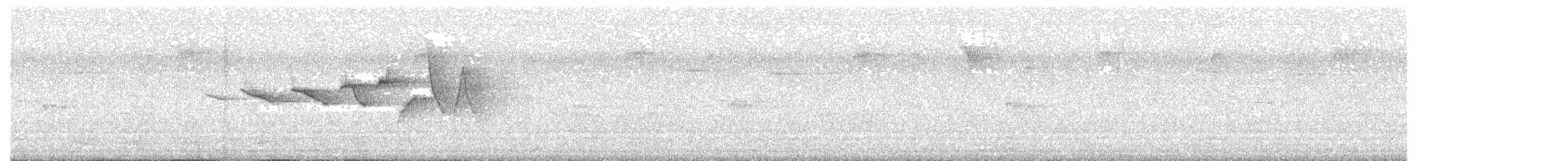 brunparula - ML642031728
