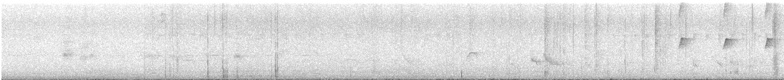 maracaibotodityrann - ML642032398