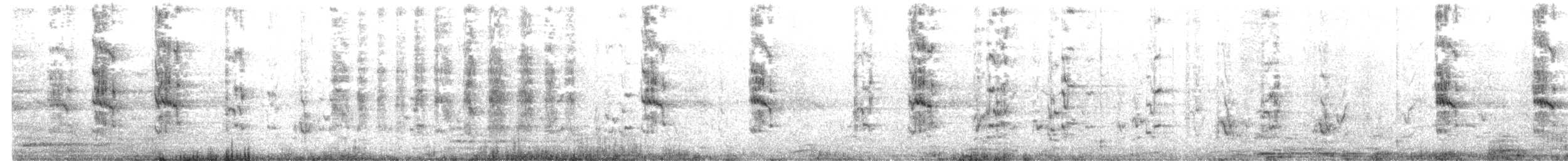 Plain Parakeet - ML642034129