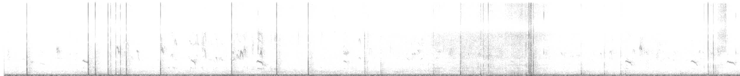 Stilt Sandpiper - ML642035529