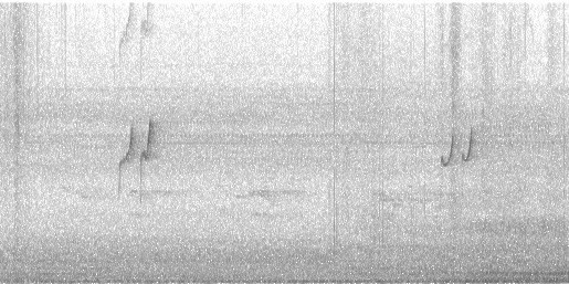 Solitary Sandpiper - ML642035678