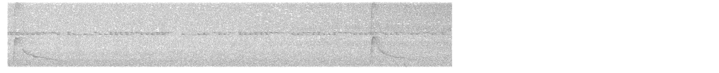 Crestless Curassow - ML642036700