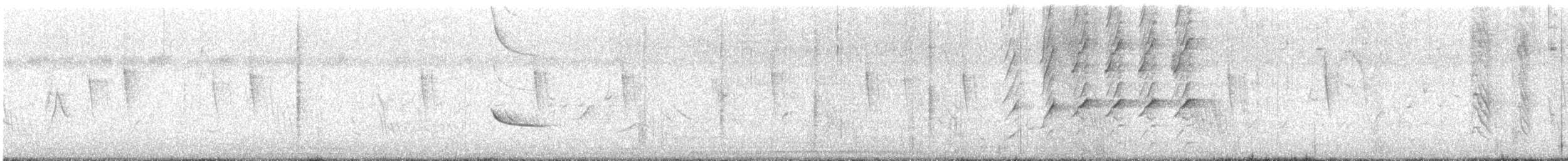 sørgetrupial - ML642036844