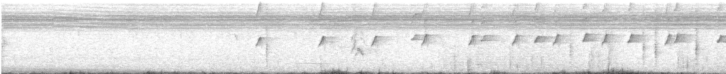 maracaibotodityrann - ML642036856
