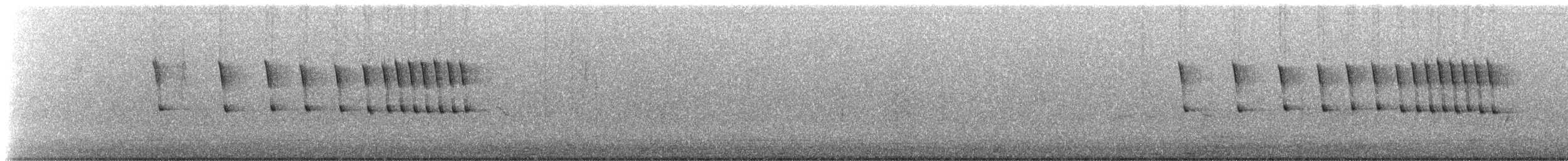 フタスジスズメモドキ - ML642037351