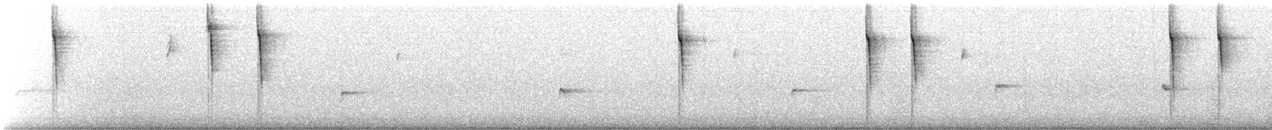 フタスジスズメモドキ - ML642037698