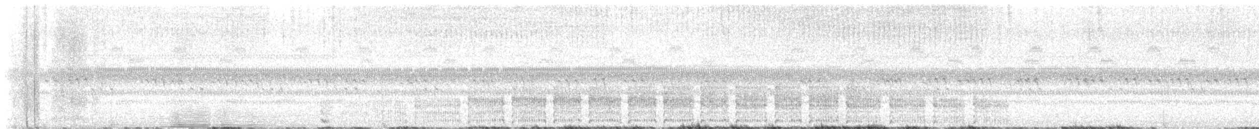 Black Rail - ML642040489