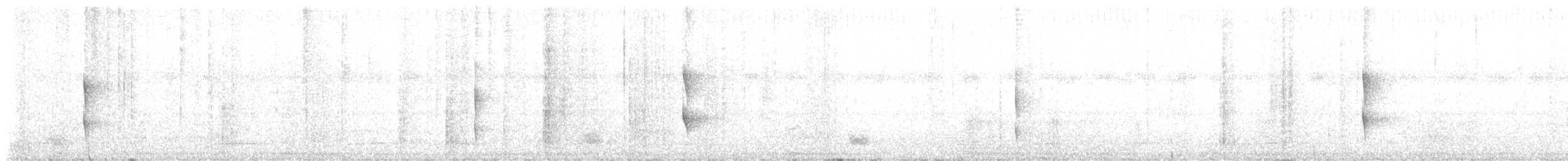 Pearly-vented Tody-Tyrant - ML642040784