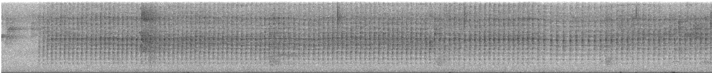 Streak-backed Oriole - ML642041093