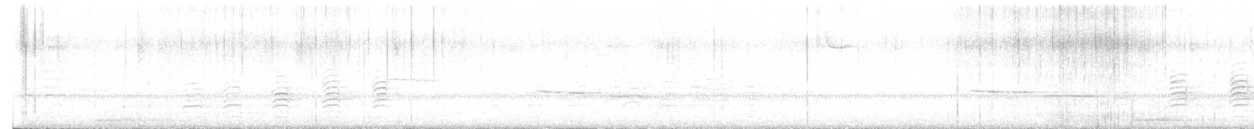 Münzevi Bülbül Ardıcı - ML642041966