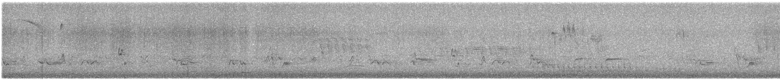 קיכלי נודד - ML642043040