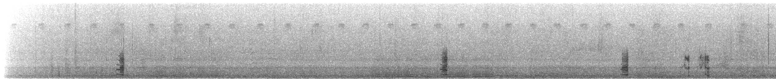 Alzavola americana - ML642048757