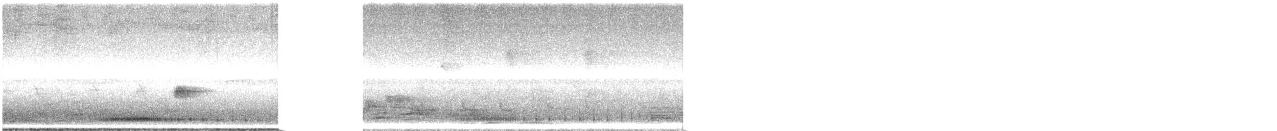 Zebra Dove - ML642049013